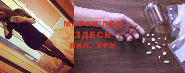 мяу мяу мука Абаза