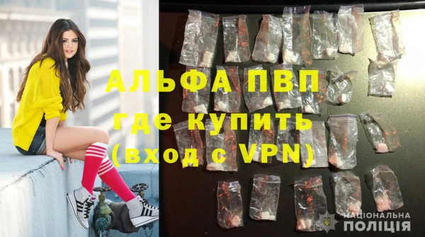 мяу мяу мука Абаза