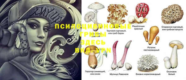 мяу мяу мука Абаза
