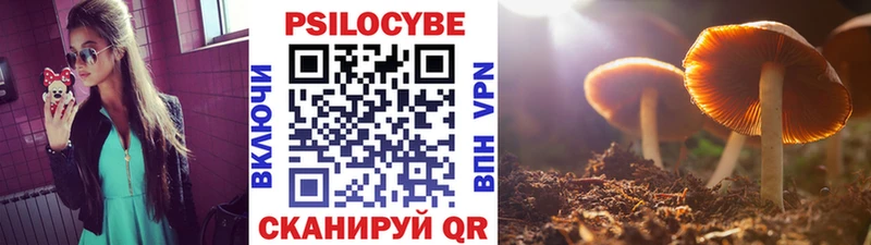 omg зеркало  Грозный  Галлюциногенные грибы прущие грибы 